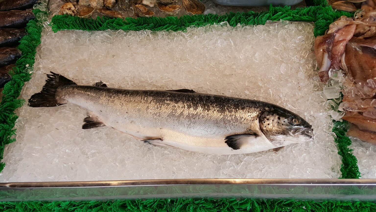 C Mo Saber Si El Pescado Est Fresco Estas Son Claves Que No Fallan