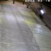 Motociclista muere al chocar con un poste de luz y difunden las imágenes