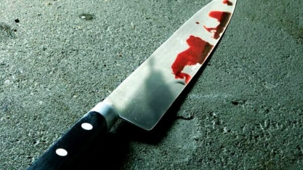 Mujer asesina a puñaladas a su bebé y hiere de gravedad a su otra hija de 4 años