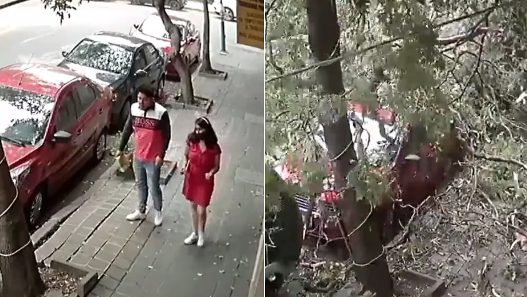 VIDEO: Pareja se salva de ser aplastada por un árbol tras fuertes vientos