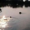 Tres menores mueren ahogados tras caer en una olla de agua de Morelos