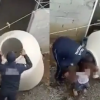 VIDEO: Policías rescatan a una pequeñita de 5 años que fue abandona dentro de un tinaco en Chalco