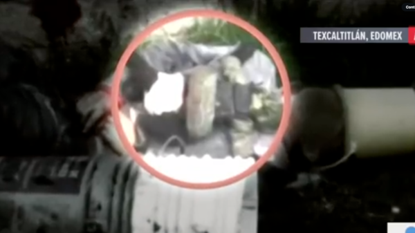 Difunden imágenes del mono vestido de sicario que fue asesinado durante el enfrentamiento en Texcaltitlán
