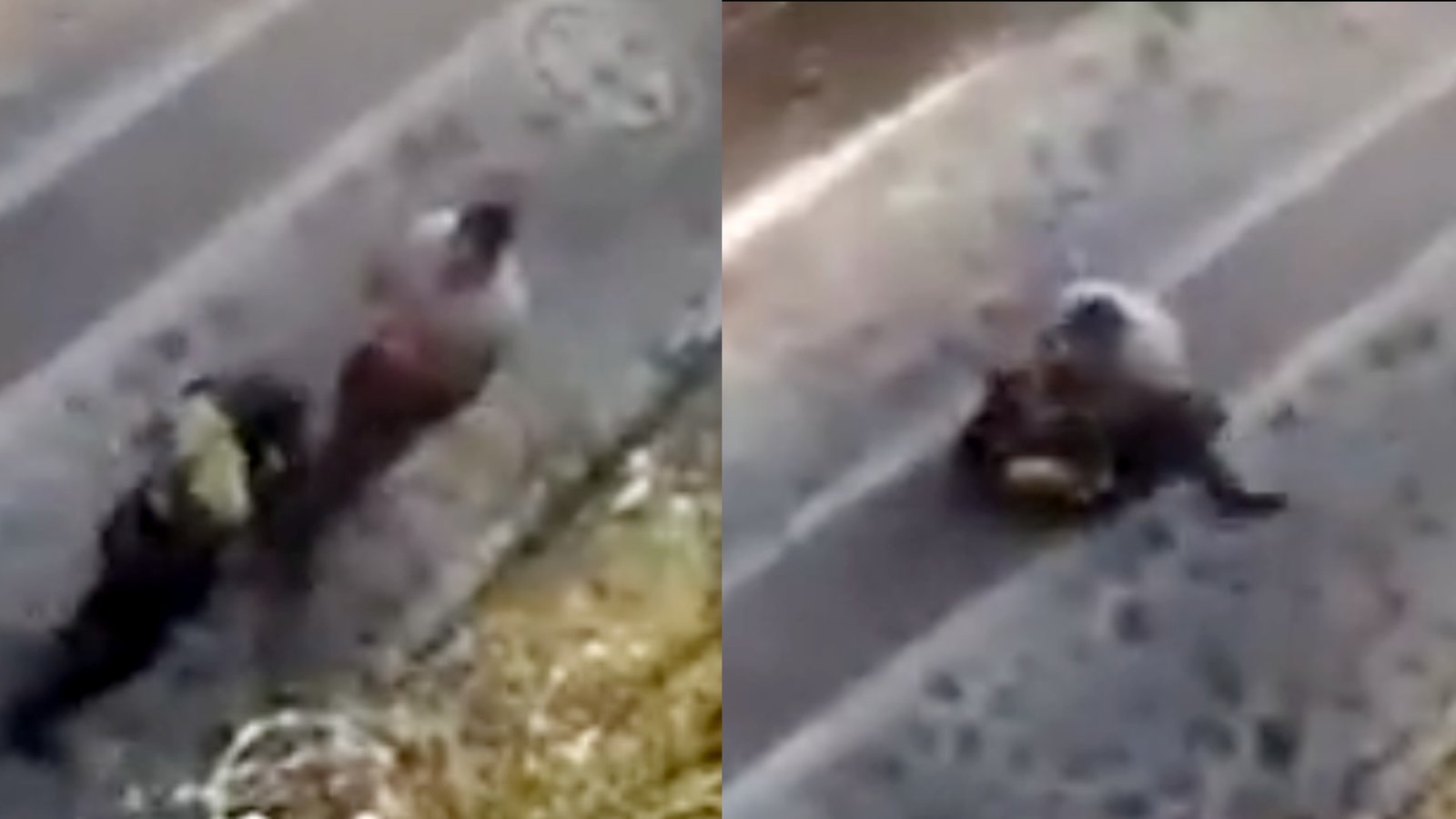 VIDEO: Repartidor de medicinas se enfrenta a golpes con otro sujeto en la Magdalena Contreras