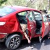 Muere automovilista tras terrible la México-Cuernavaca a la altura de San Miguel Toplejo
