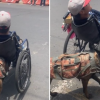 VIDEO: Perrita ayuda a su dueño a vender dulces y empuja la silla de ruedas por las calles
