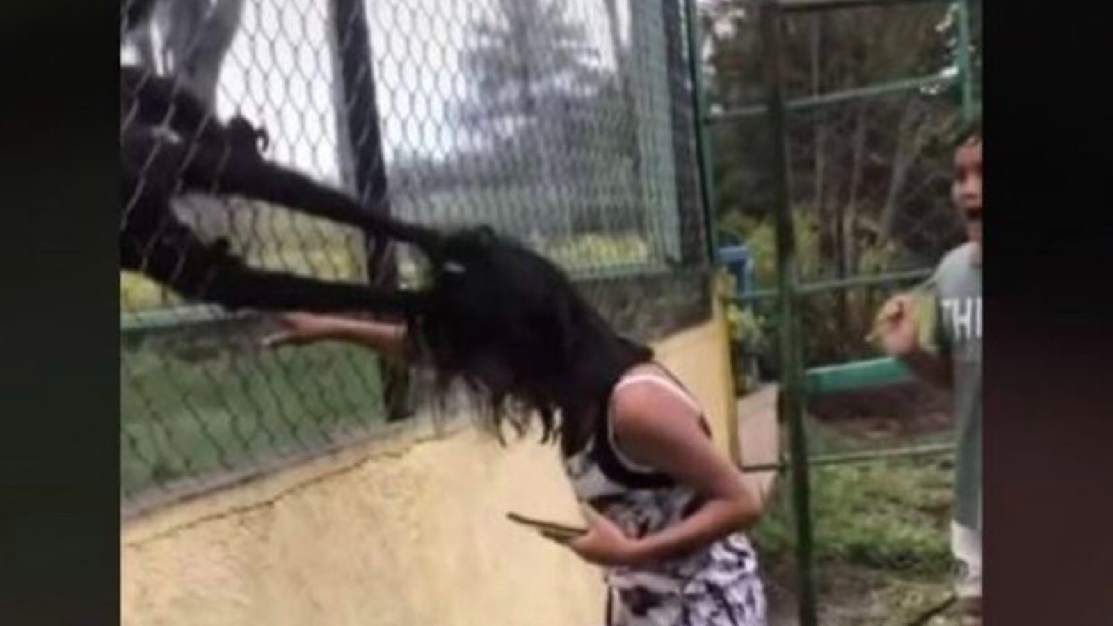 VIDEO: Niña molesta a mono enjaulado y le llega el karma instantáneo