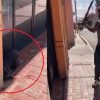 VIDEO: Hombre agrede a punta de machetazos a una perrita en Actopan