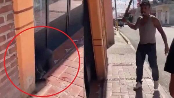 VIDEO: Hombre agrede a punta de machetazos a una perrita en Actopan