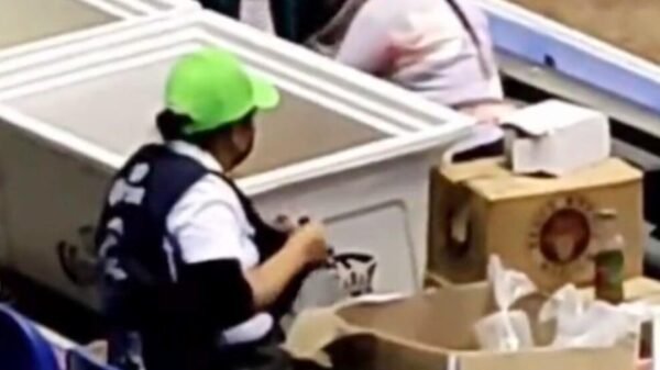 VIDEO: Captan a vendedora de cerveza limpiando vasos con su mandil para volver a llenarlos