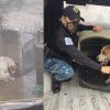 Rescatan a Leo, perrito que vivía atado en azotea soportando lluvia, granizo y sol