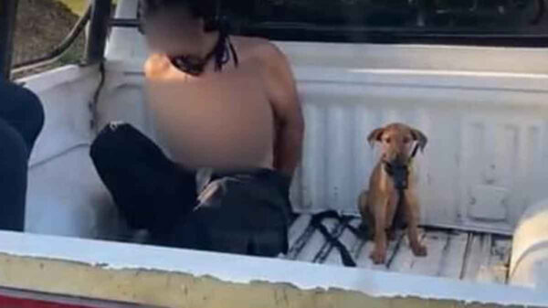 ¡Fiel hasta la muerte! Perrito acompaña a su dueño hasta la cárcel tras ser arrestado