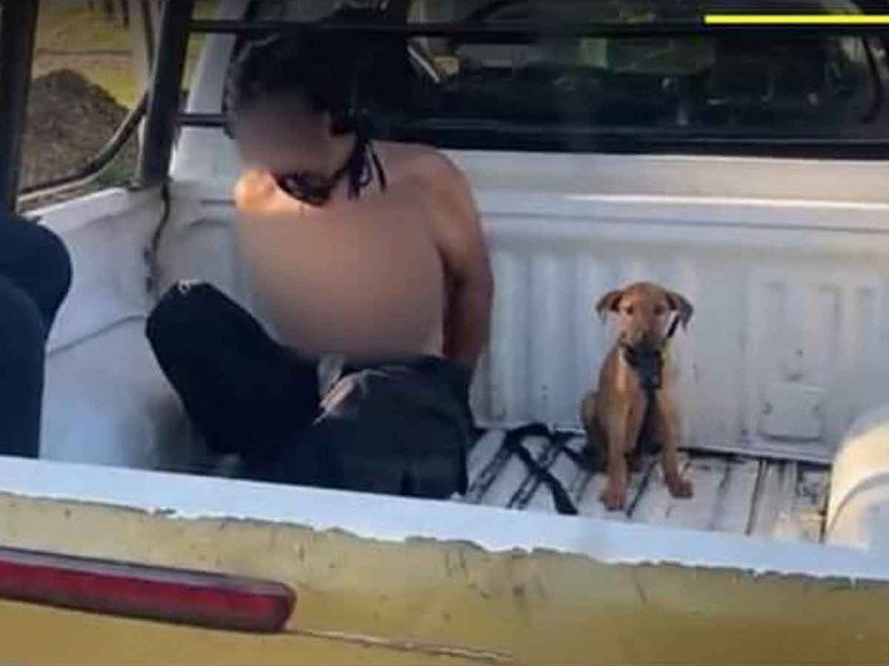 ¡Fiel hasta la muerte! Perrito acompaña a su dueño hasta la cárcel tras ser arrestado
