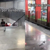 VIDEO: Paloma sorprende por su habilidad para usar el metro de la CDMX