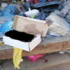 Descubren cadáver de feto en camión de basura en Nayarit