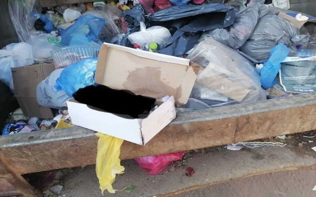 Descubren cadáver de feto en camión de basura en Nayarit