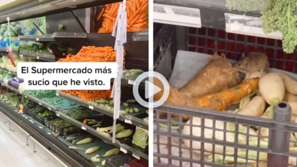 VIDEO: Captan a rata comiéndose las verduras de un supermercado en Mixcoac