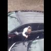 VIDEO: Tras veredicto del juez, mujer apuñala el automóvil de su exesposo