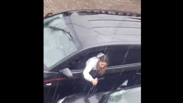 VIDEO: Tras veredicto del juez, mujer apuñala el automóvil de su exesposo