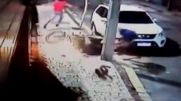 VIDEO: Hombre finiquita a ladrones con patada voladora ¡al estilo de Jackie Chan!