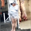 VIDEO: Comerciantes someten, desnudan y emplayan a ladrón para darle un escarmiento