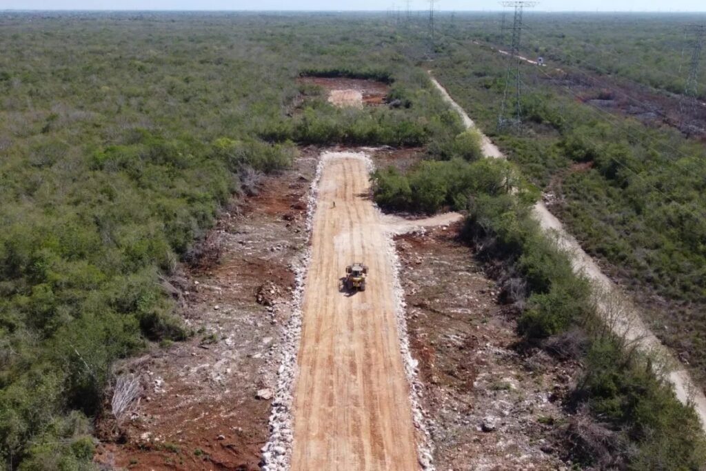 Frena nuevo amparo obras del Tren Maya en tramo Cancún-Tulum - México Ya