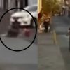 VIDEO: Taxista atropella a una mujer ya sus dos hijos; se da a la fuga