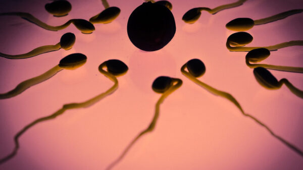 Demandan a donante de esperma por tener más de 550 hijos en Europa