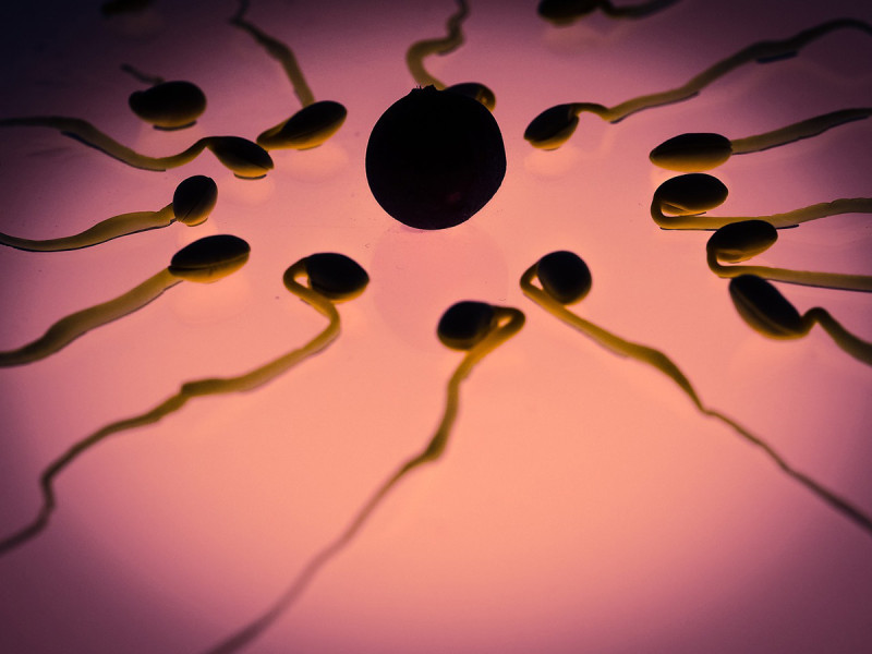 Demandan a donante de esperma por tener más de 550 hijos en Europa