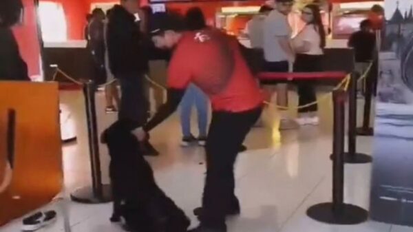 VIDEO: Empleado de Cinemex causa indignación por la arrastrar a un perro para sacarlo