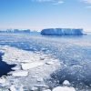 Advierten sobre crisis en la Antártida: capa de hielo se derrite a gran velocidad
