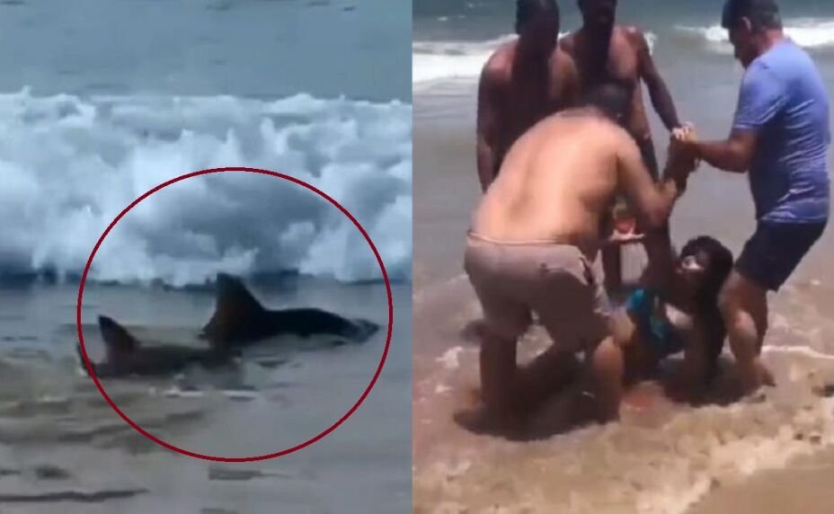 VIDEO: Tiburones atacan a dos personas en una playa de Brasil y difunden las aterradoras imágenes