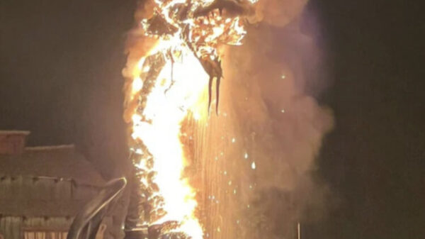 Incendio en Disneyland causa pánico; así se vivió el terror entre las llamas