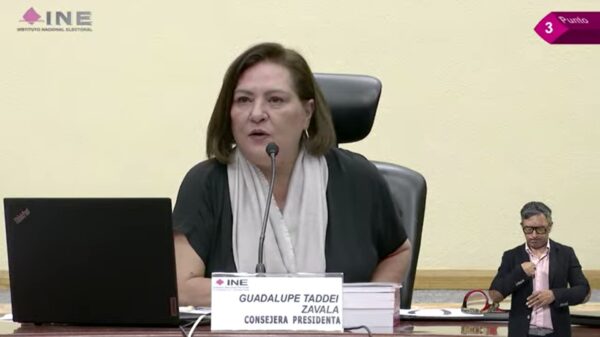 Guadalupe Taddei asegura que credenciales de elector no están en riesgo