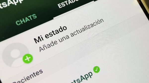 WhatsApp: ¿Cómo descargar los estados de tus contactos?