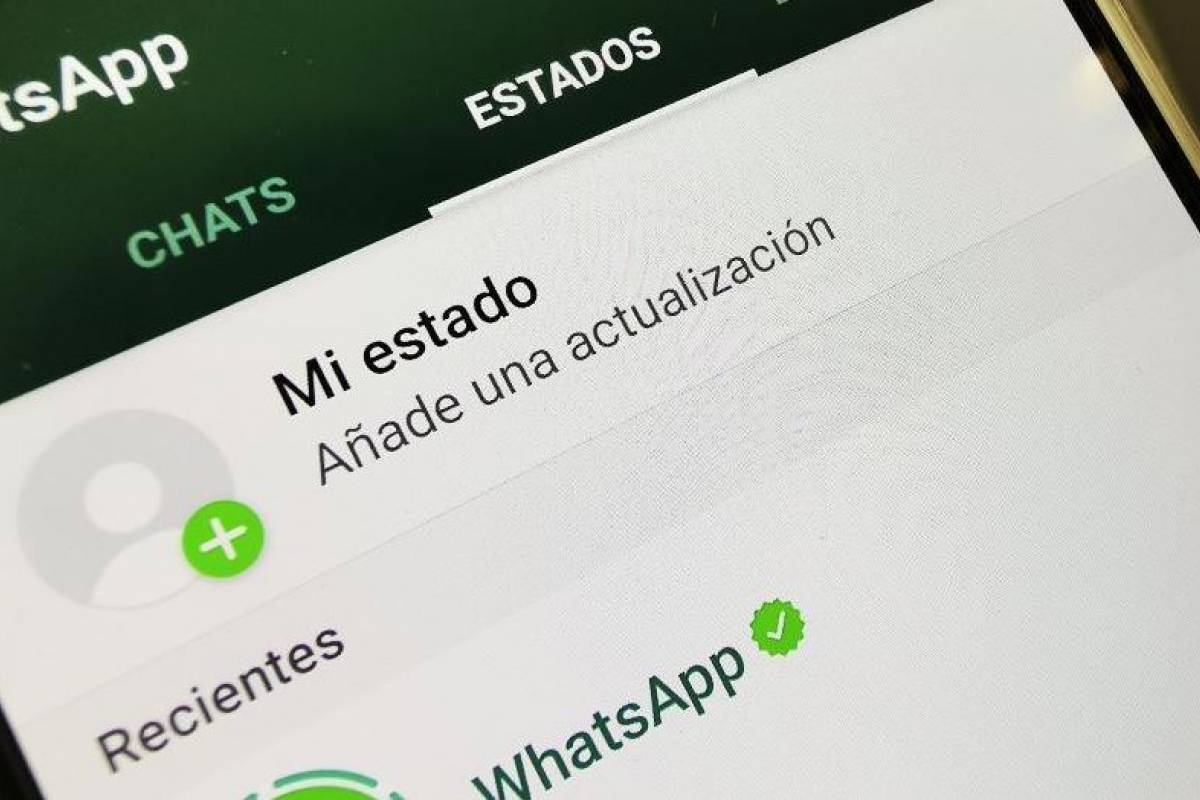 WhatsApp: ¿Cómo descargar los estados de tus contactos?