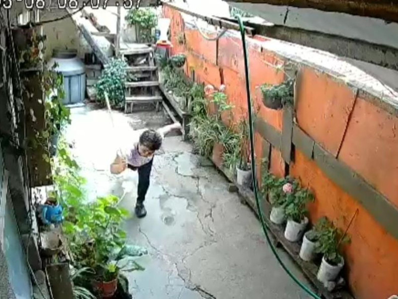VIDEO: Señora la Magdalena Contreras agarra a palazos a un perrito y la exhiben