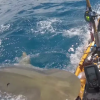 VIDEO: Pescador graba el terrible ataque que le lanzó un tiburón tigre