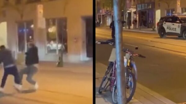 VIDEO: Hombre golpea a su rival con una serpiente durante pelea callejera