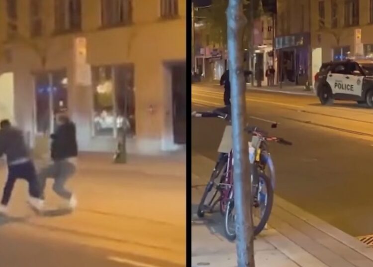 VIDEO: Hombre golpea a su rival con una serpiente durante pelea callejera