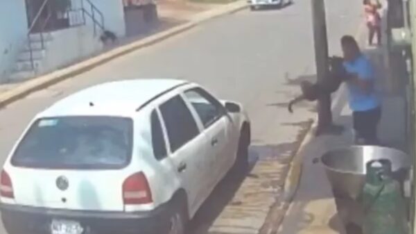VIDEO: Hombre lanza a un perro a un cazo con aceite hirviendo y las imágenes son desgarradoras