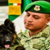 Turquía dona a México cachorro rescatista tras la muerte de Proteo en aquel país