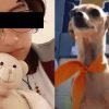 Vanessa "N", la joven que torturó y asesinó a un perrito, ¿no irá a la cárcel?