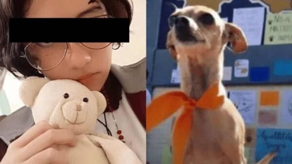 Vanessa "N", la joven que torturó y asesinó a un perrito, ¿no irá a la cárcel?