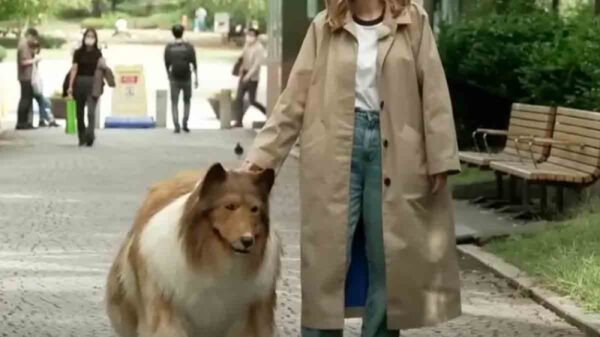 Hombre gasta más de 14 mil dólares para transformarse en perro y aparece por primera vez en público