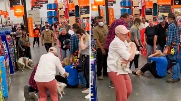 VIDEO: Perros protagonizan sangrienta pelea en pleno Home Depot y se desata el caos