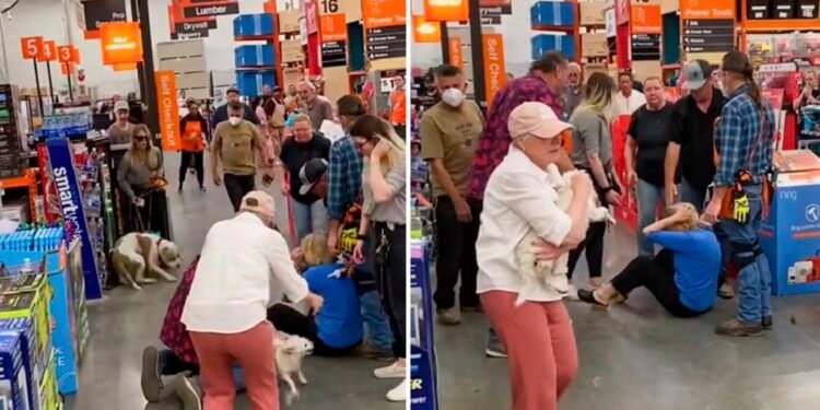 VIDEO: Perros protagonizan sangrienta pelea en pleno Home Depot y se desata el caos