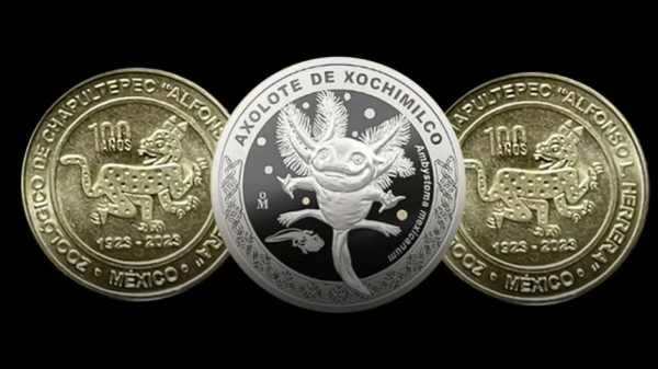 Moneda del ajolote tendrá nuevo lanzamiento para aquellos que no pudieron comprarla