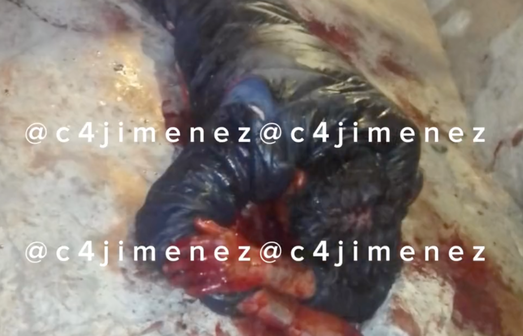 VIDEO: Ladrón recibe brutal golpiza tras intento de asalto en Chalco; su arma le falló al disparar