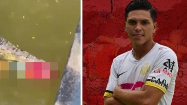 VIDEO: Futbolista muere tras ser devorado por un cocodrilo cuando se estaba bañando en un río